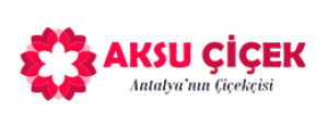 Aksu Çiçek